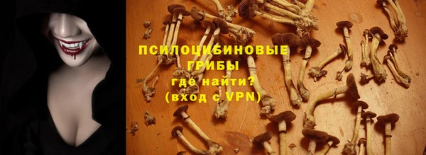 apvp Балабаново