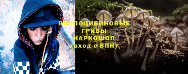 apvp Балабаново
