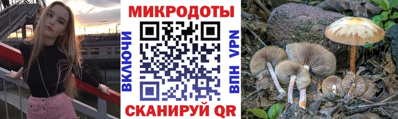 Псилоцибиновые грибы мицелий  Купино 