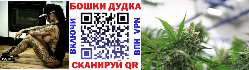 Бошки марихуана Ganja Купино